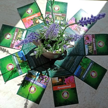 דירות Hévíz Lavender מראה חיצוני תמונה